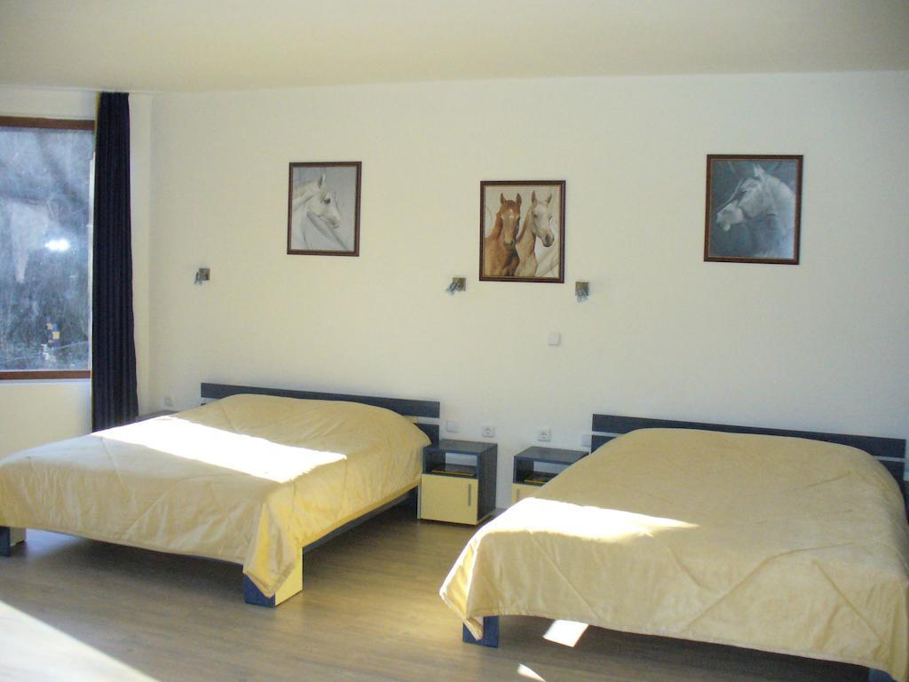 Guest House Alfa Daniel Balkanets  Camera foto