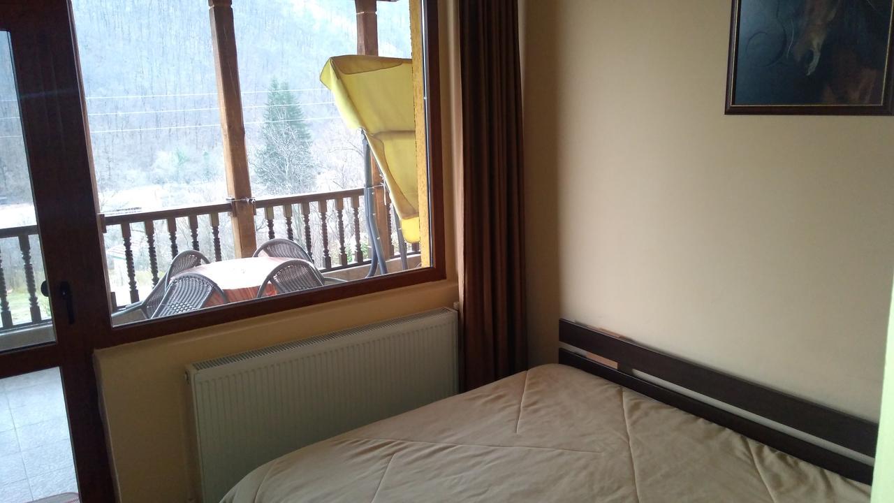 Guest House Alfa Daniel Balkanets  Esterno foto