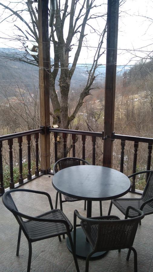 Guest House Alfa Daniel Balkanets  Esterno foto
