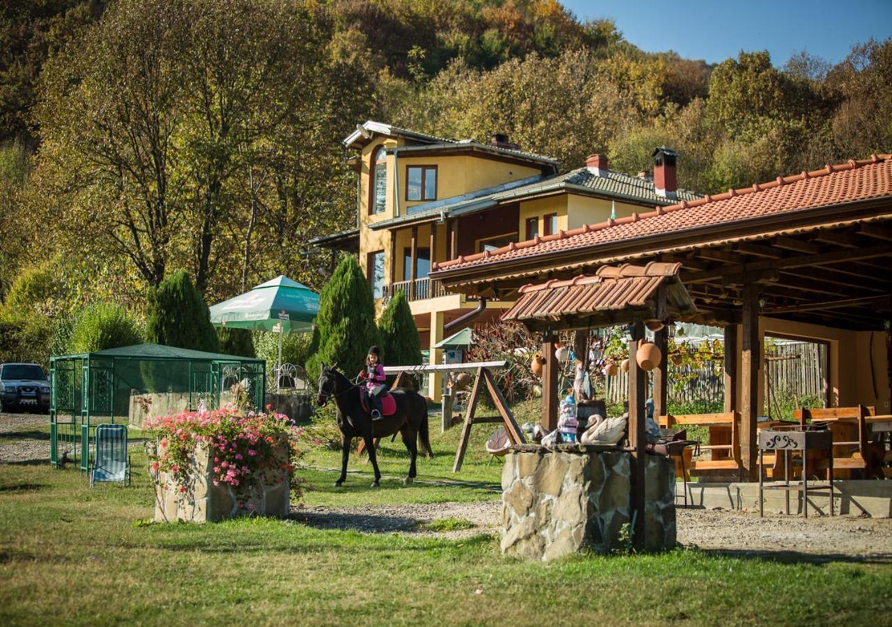 Guest House Alfa Daniel Balkanets  Esterno foto